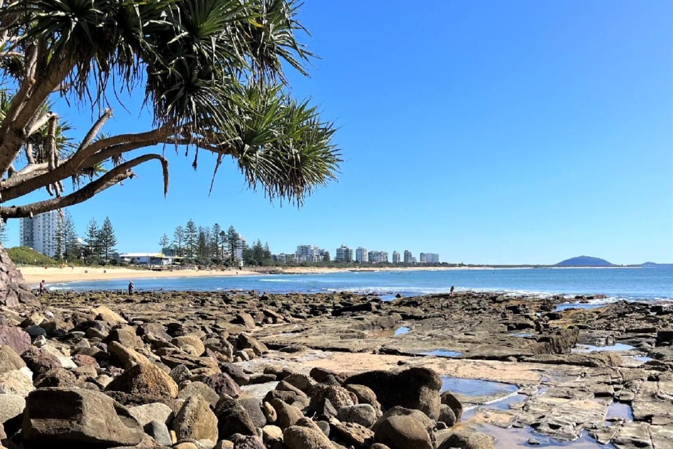 Highwater Haven - Ocean View Apartment. 300m To Beach. Pet Friendly Apartment Alexandra Headland